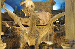 Caesar's Palace
