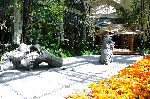 Bellagio