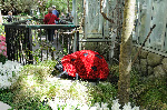Bellagio