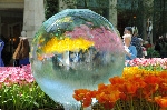 Bellagio