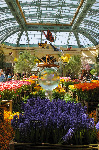 Bellagio