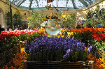 Bellagio