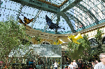 Bellagio