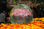 Bellagio