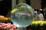 Bellagio