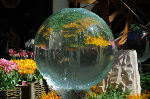 Bellagio