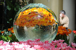 Bellagio