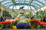 Bellagio