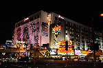 The Flamingo