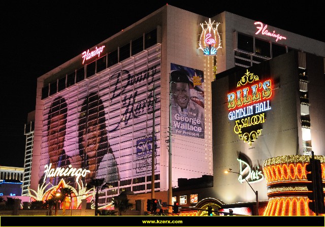 The Flamingo