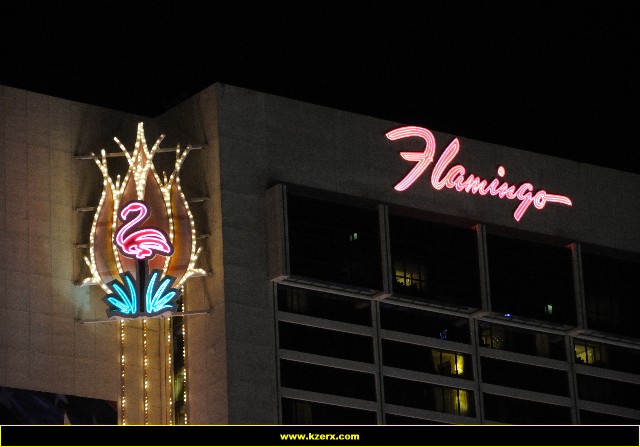 The Flamingo