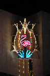The Flamingo