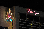The Flamingo