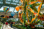 Bellagio