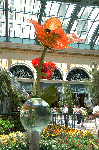 Bellagio