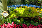 Bellagio