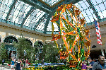 Bellagio