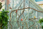 Bellagio