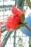 Bellagio