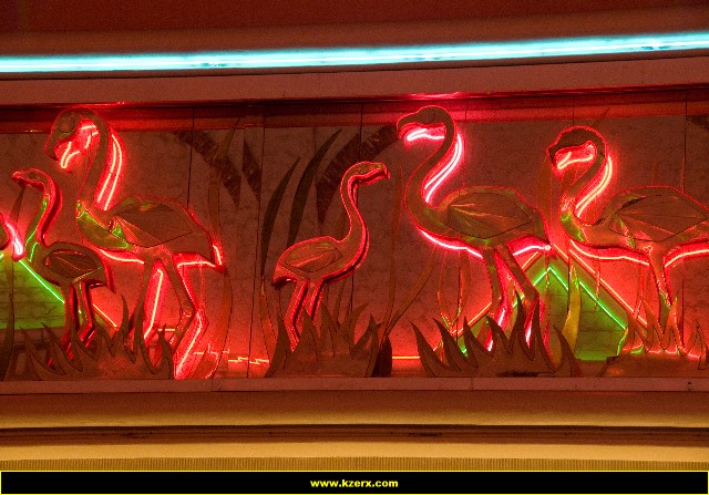 The Flamingo