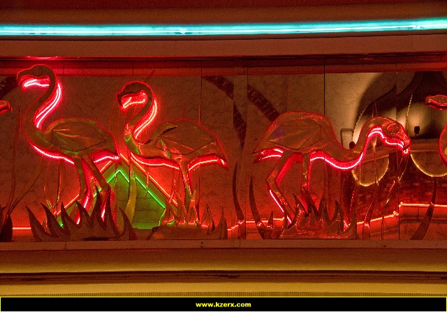 The Flamingo