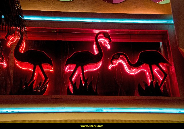 The Flamingo