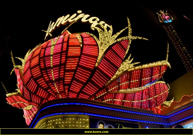 The Flamingo