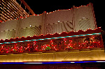 The Flamingo