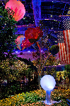 Bellagio