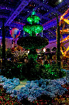 Bellagio
