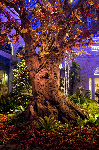Bellagio