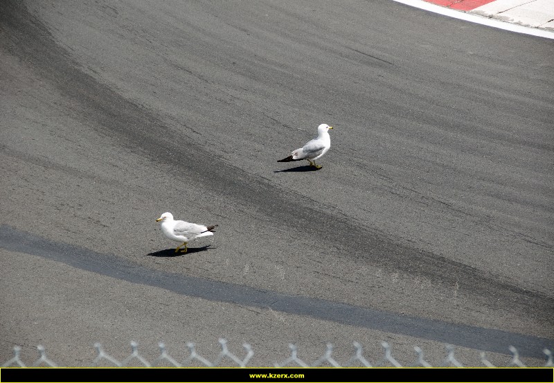 Canadian Grand Prix