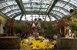 Bellagio
