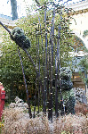 Bellagio