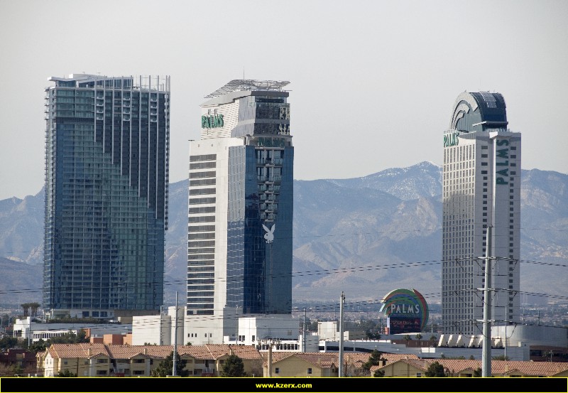 The Palms