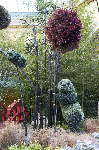 Bellagio