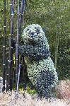 Bellagio