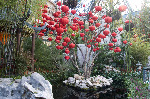 Bellagio