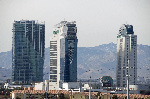 The Palms