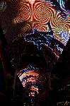 The Fremont Street Experience