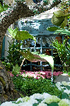 Bellagio