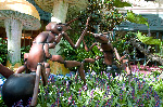 Bellagio