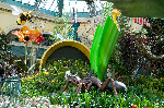 Bellagio