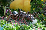 Bellagio