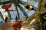 Bellagio