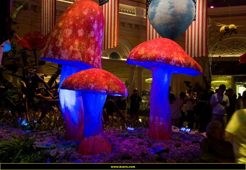 Bellagio