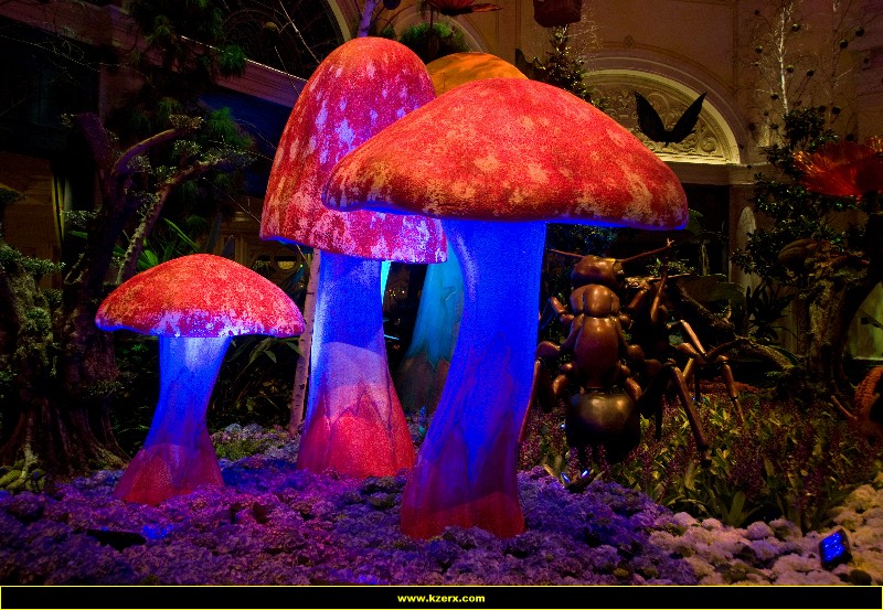 Bellagio