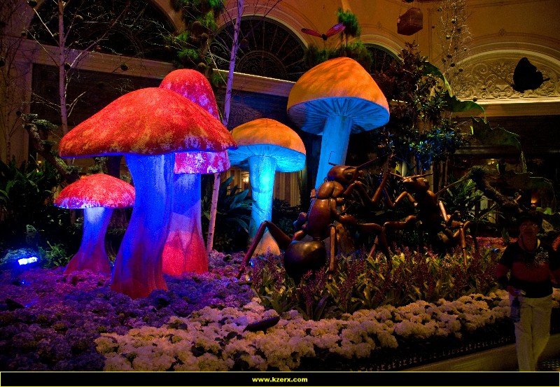 Bellagio