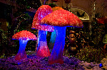 Bellagio