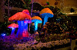 Bellagio